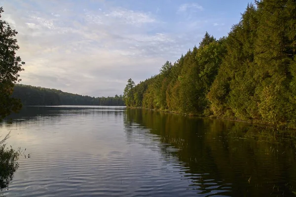 Μια Όμορφη Φωτογραφία Μιας Λίμνης Που Περιβάλλεται Από Πράσινα Δέντρα — Φωτογραφία Αρχείου