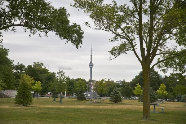 Een Prachtige Opname Van Een Park Gebied Tower Achtergrond Toronto — Stockfoto