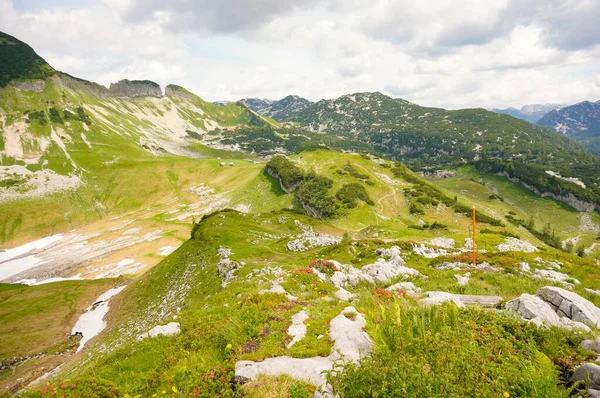 Pegunungan Alp Ditutupi Dengan Rumput Ausseerland Austria — Stok Foto