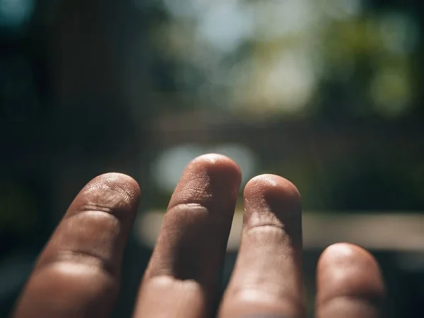 Primer Plano Dedos Masculinos Bosque Bajo Luz Del Sol Sobre —  Fotos de Stock