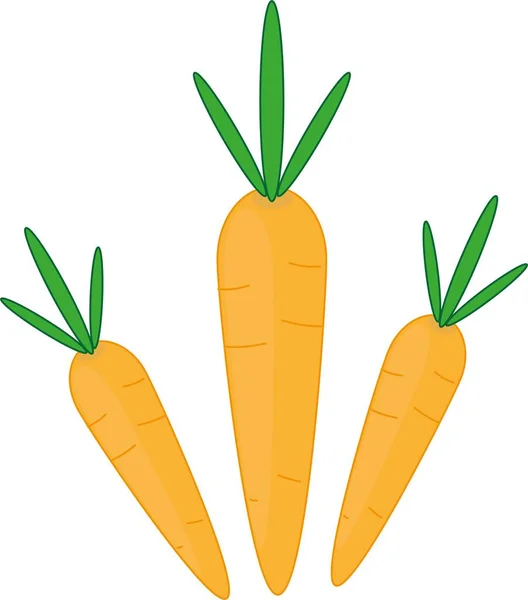 Иллюстрация Простой Морковки Белом Фоне — стоковое фото