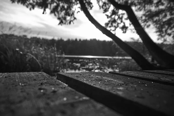 カナダの森に囲まれた反射湖の近くの木製のプラットフォームのグレースケールショット — ストック写真