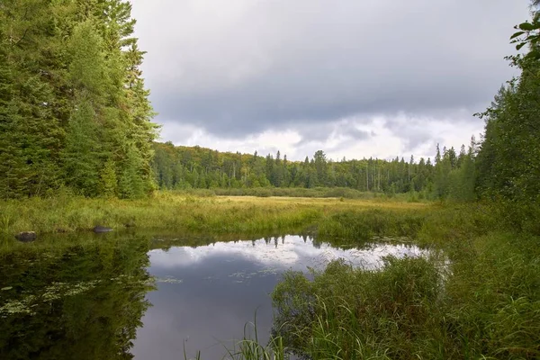 Une Belle Vue Lac Entouré Une Prairie Une Forêt Canada — Photo