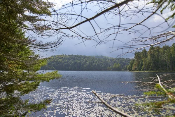 Magnifique Plan Lac Réfléchissant Entouré Arbres Verts Canada — Photo