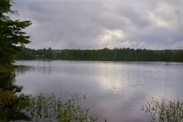 Jezero Obklopené Stromy Kanadě Pod Zataženou Oblohou — Stock fotografie