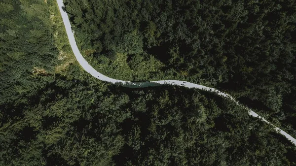 Воздушный Кадр Длинной Дороги Ведущей Через Густые Зеленые Деревья — стоковое фото