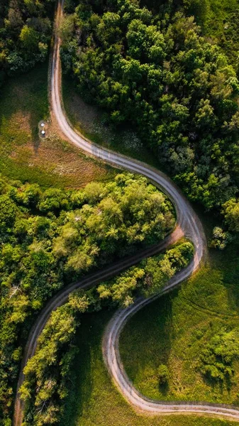 Воздушный Кадр Дороги Окруженной Зелеными Деревьями — стоковое фото