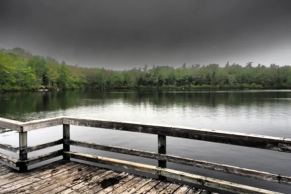 曇りの日に木製の台から撮影された木に囲まれた湖 — ストック写真