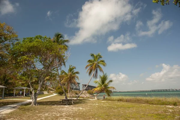 Een Prachtig Uitzicht Palmbomen Het Strand Bij Rustige Oceaan Onder — Stockfoto