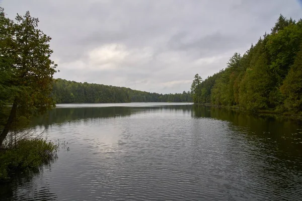 Lago Cercado Por Árvores Canadá Sob Céu Nublado — Fotografia de Stock