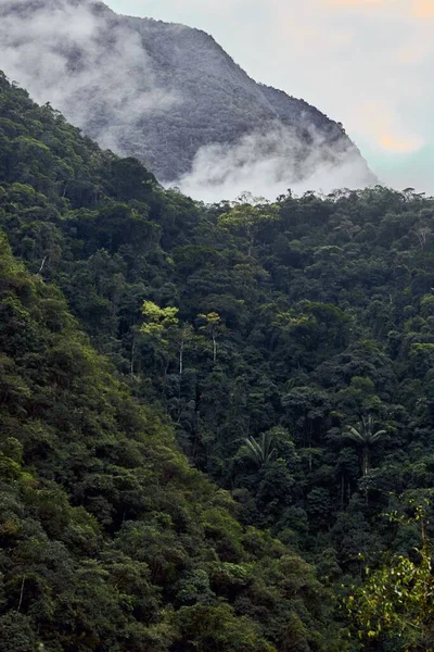 Eine Vertikale Aufnahme Des Berges Mit Bewölktem Hintergrund — Stockfoto