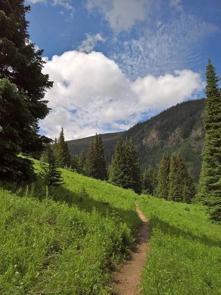 Vertical Shot Pathway Rocky Mountains Colorado Cloudy Sky — Stock Photo, Image