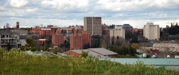 Una Toma Alto Ángulo Del Campus Universidad Estatal Washington Pullman — Foto de Stock