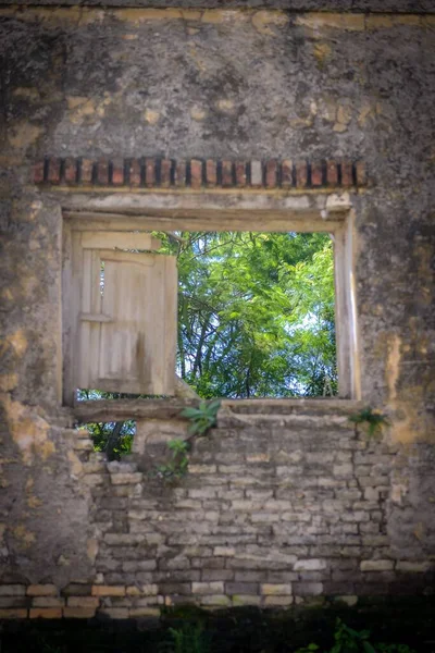 Красивая Сцена Окна Старого Каменного Здания — стоковое фото