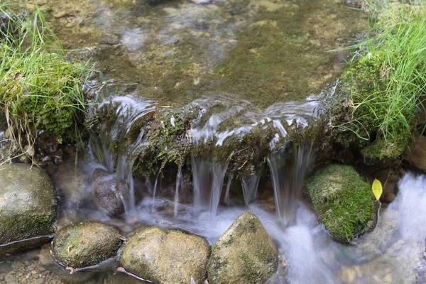 Uma Pequena Corrente Água Pedras Cobertas Musgo Uma Floresta — Fotografia de Stock