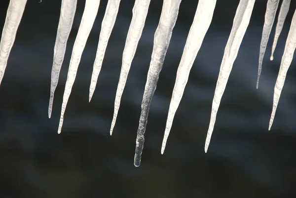 Eine Flache Aufnahme Von Eiszapfen Mit Verschwommenem Hintergrund — Stockfoto