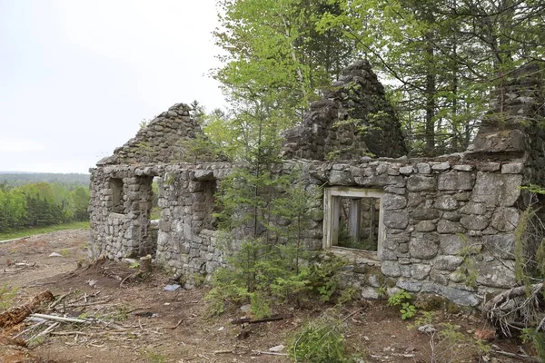 在白天被占领的田野里一座被遗忘的古老小屋的废墟 — 图库照片