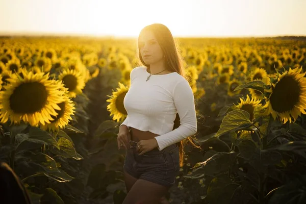 Colpo Fuoco Superficiale Bella Femmina Europea Campo Girasole All Alba — Foto Stock