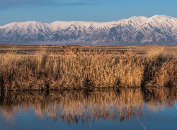 Una Hermosa Toma Great Salt Lake Utah — Foto de Stock