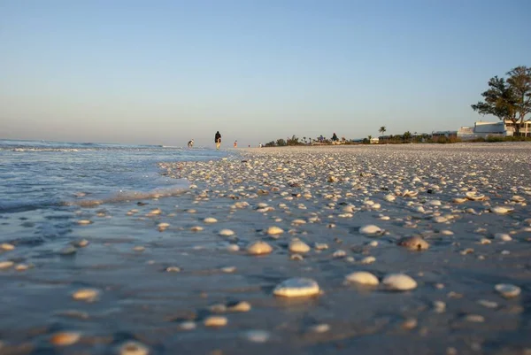 Primo Piano Pietre Spiaggia Sulla Sabbia Che Splende Sotto Sole — Foto Stock
