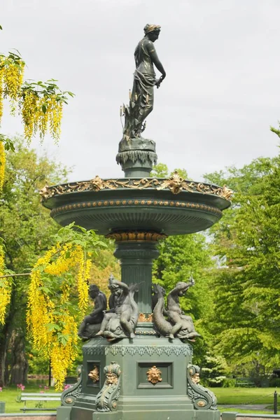 Eine Vertikale Aufnahme Einer Alten Statue Inmitten Eines Parks Die — Stockfoto