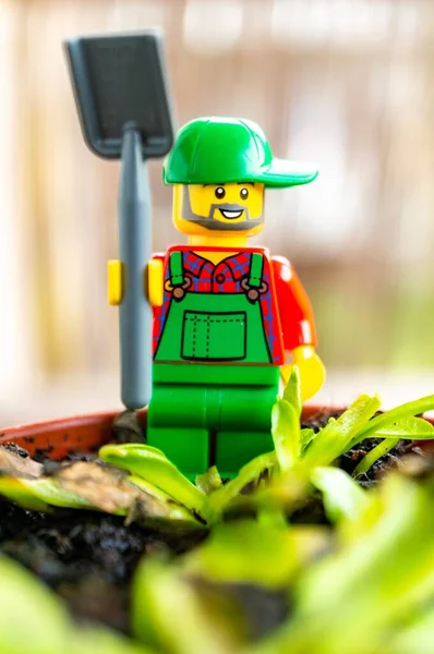 Poznan ポーランド 2020年6月25日 レゴ農家フィギュアシャベルを持って植物と地面に立って — ストック写真
