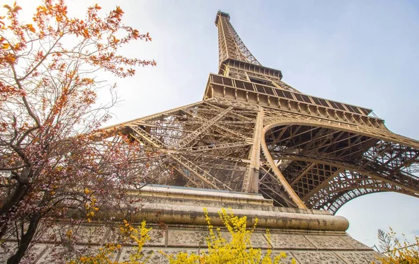 Tiro Ângulo Baixo Torre Eiffel Paris França Com Arbustos Laranja — Fotografia de Stock