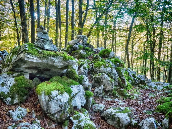 Büyük Beyaz Taşlarla Kaplı Yeşil Bir Orman — Stok fotoğraf