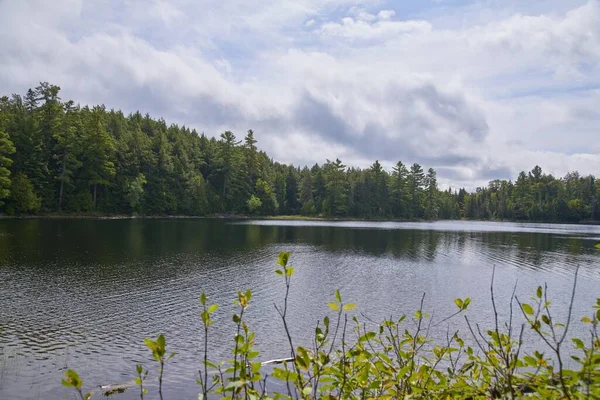 Jezioro Kanadzie Otoczone Drzewami Lasu — Zdjęcie stockowe