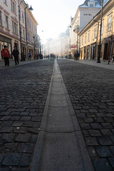 Sibiu Roménia Janeiro 2020 Foto Vertical Uma Rua Sibiu Romênia — Fotografia de Stock