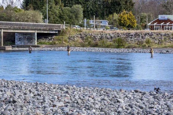 Turangi New Zealand Aug 2018 World Famous Tongariro River Turangi — Stock Photo, Image