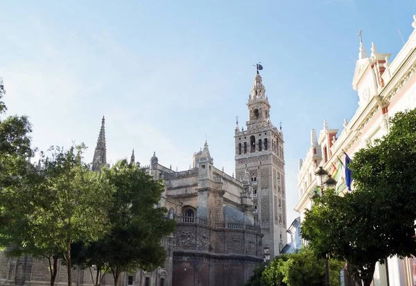 Fascinante Plano Catedral Sevilla Sevilla España —  Fotos de Stock