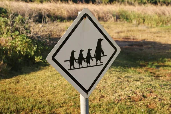 Een Verkeersbord Met Vogels — Stockfoto