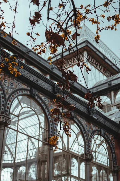 Ağaç Dalları Yapraklarıyla Mimari Bir Binanın Dikey Alçak Açılı Görüntüsü — Stok fotoğraf