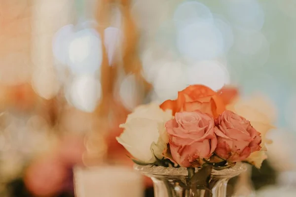 Eine Nahaufnahme Von Kurzen Weißen Und Roten Rosen Einer Kleinen — Stockfoto