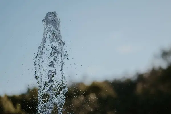 拍了一张特写镜头 在空中泼水 背景是树木 — 图库照片