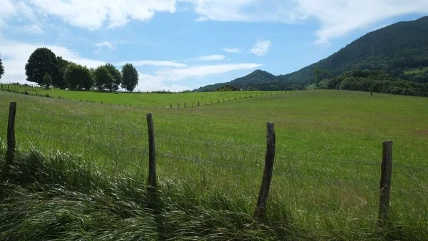 Grüne Felder Baskenland — Stockfoto