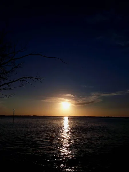 日落时海滩上的树枝 — 图库照片