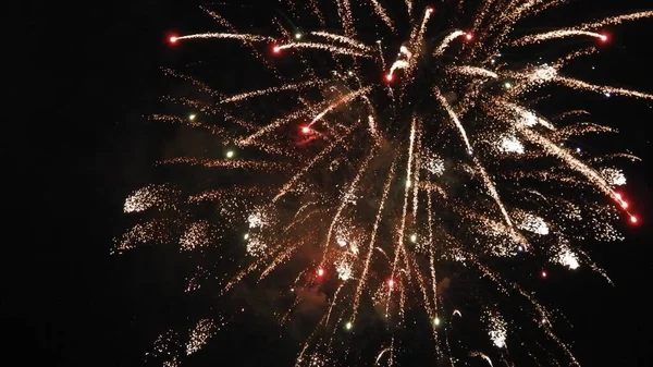 Beautiful Shot Colorful Exploding Fireworks Black Sky — Stock Photo, Image