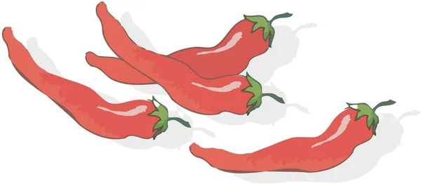 Ilustracja Czerwonej Papryki Chili Białym Tle — Zdjęcie stockowe