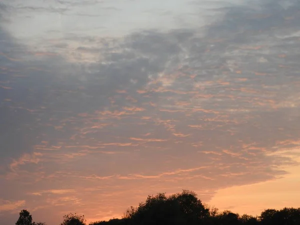 Krásný Záběr Barevné Pastelové Oblohy Západu Slunce Siluety Větví Stromů — Stock fotografie
