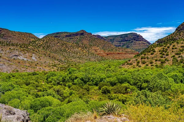 Das Bild Zeigt Die Wildnis Abseits Ausgetretener Pfade Arizona — Stockfoto