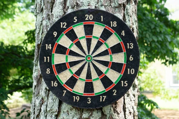 Gros Plan Jeu Fléchettes Sur Arbre Dans Parc Sous Lumière — Photo