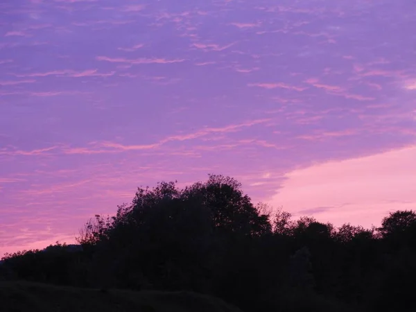 Hermoso Disparo Cielo Rosa Brillante Puesta Sol Púrpura Siluetas Árbol —  Fotos de Stock