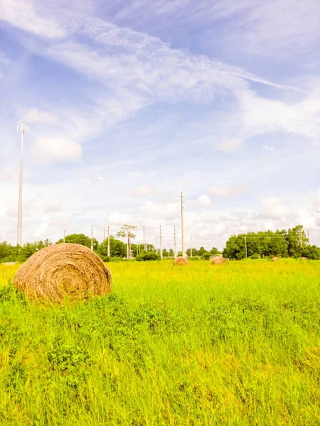 Een Groen Grasveld Met Hooi Voor Het Voederen Van Vee — Stockfoto