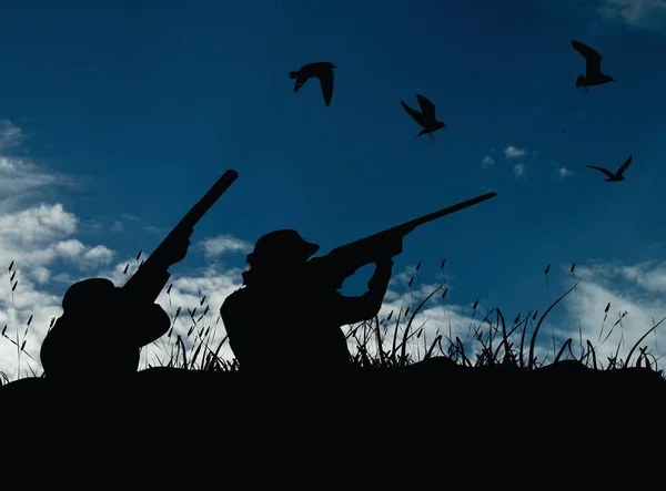 Närbild Silhuetter Hanar Jagar Fåglar Blå Himmel — Stockfoto