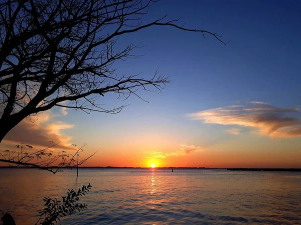 Les Branches Arbre Sur Plage Coucher Soleil — Photo