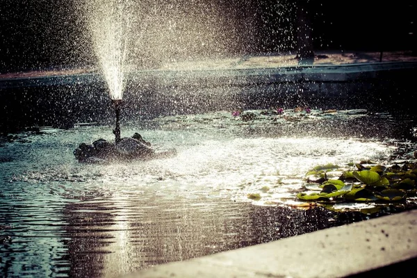 Beautiful Scenery Water Fountain Schonbrunn Palace Vienna Austria — Stock Photo, Image