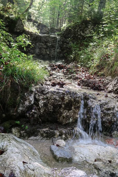 Tiro Vertical Uma Pequena Cachoeira Desacelerando Uma Floresta — Fotografia de Stock