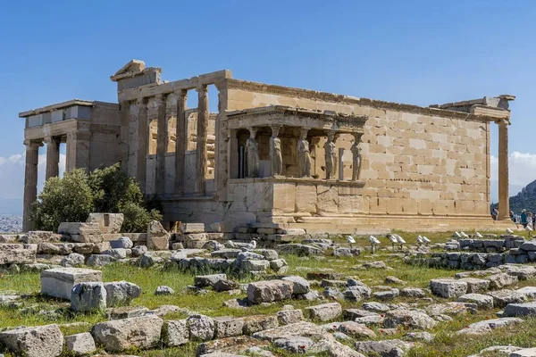 Afbeelding Toont Tempel Gewijd Aan Athena Poseidon Gelegen Akropolis — Stockfoto